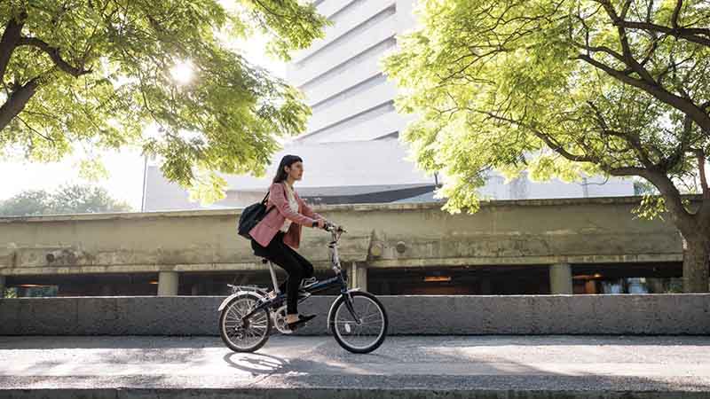 Girl riding a bicycle