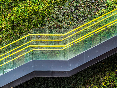Modern staircase in front of green vertical wall