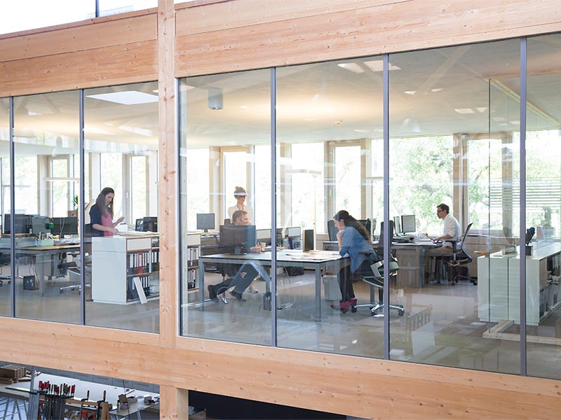 employees are working in office