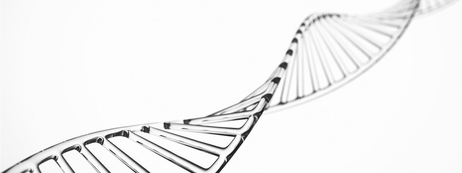 Structure of human DNA